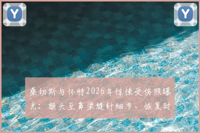 桑切斯与怀特2026年惊悚受伤照曝光:额头至鼻梁缝针细节、恢复时间及对球队影响全解析