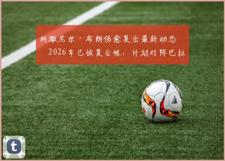纳撒尼尔·布朗伤愈复出最新动态：2026年已恢复合练，计划对阵巴拉圭重回首发阵容